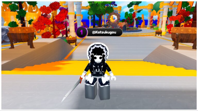 the image shows my avatar in the game lobby holding a sword and facing the camera